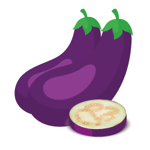 Iconoberenjena3