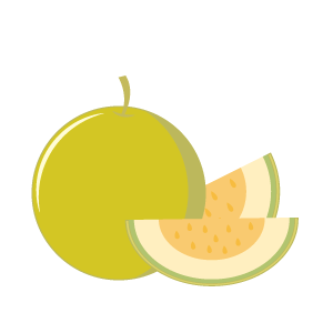 Melon_icono2