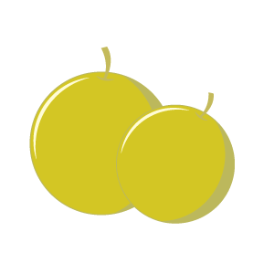 Melon_icono3