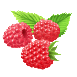 iconomoras3