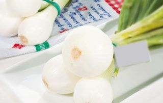 Manojo de cebollas