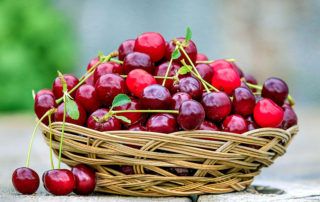 cerezas