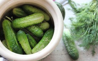 pepino