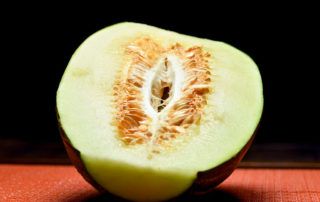 melón