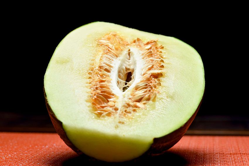 melón