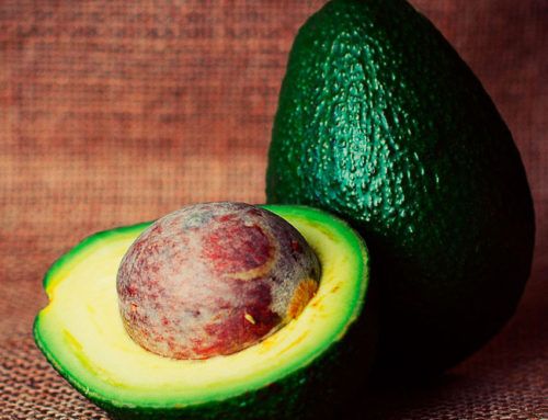 Aguacate