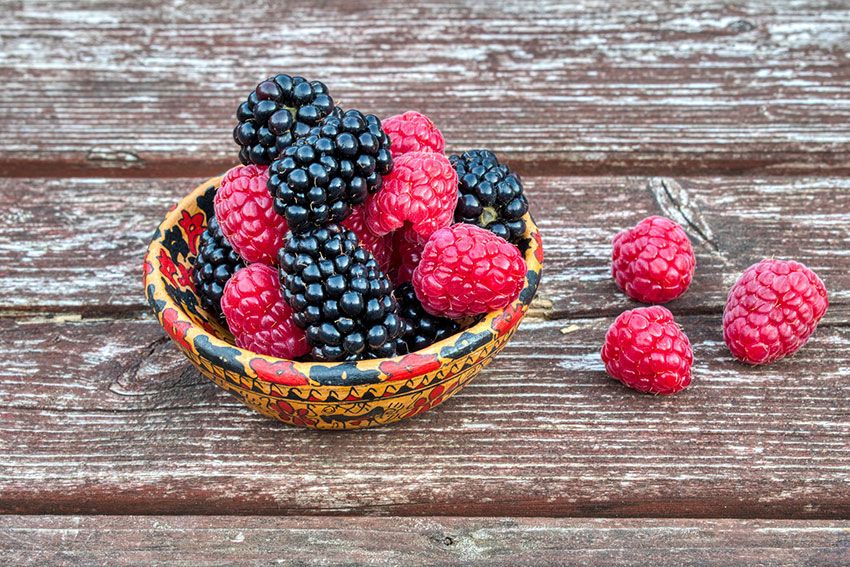 Moras