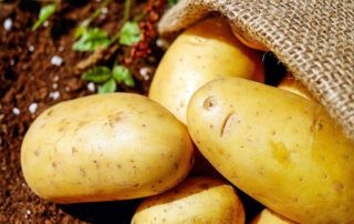 Patatas