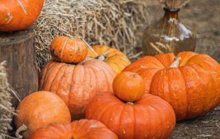 Calabazas