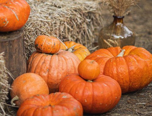 Calabazas