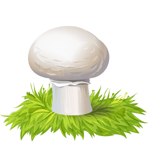 Champiñón