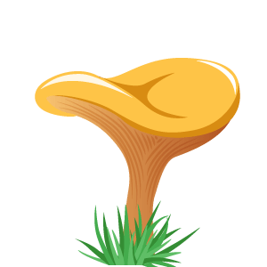 Robellón
